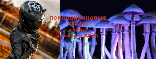 шишки Богородицк