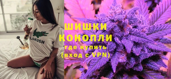 шишки Богородицк