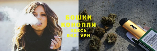 шишки Богородицк