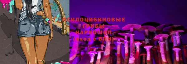 шишки Богородицк