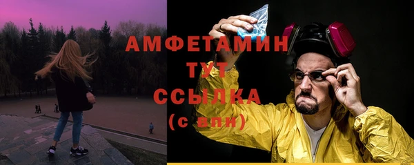шишки Богородицк