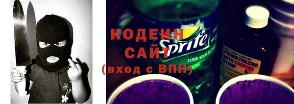 шишки Богородицк