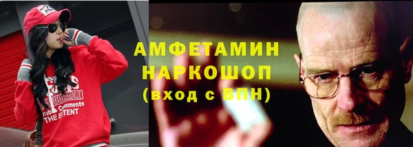 шишки Богородицк