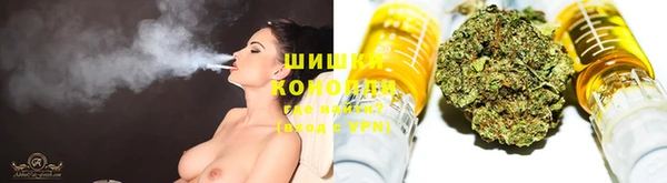 соль курить ск Богданович