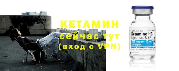 шишки Богородицк