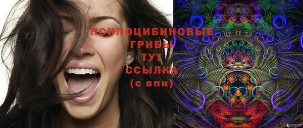 шишки Богородицк