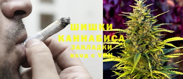шишки Богородицк