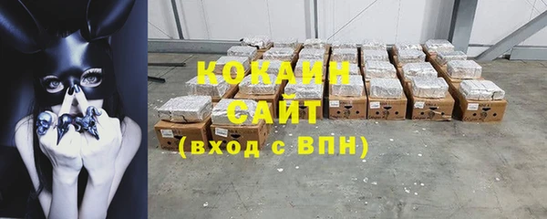 шишки Богородицк