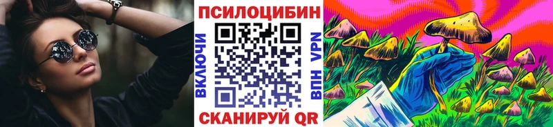 Купить закладки  Камень-на-Оби  Галлюциногенные грибы Cubensis 